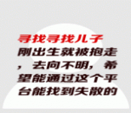 失踪人员：寻找儿子