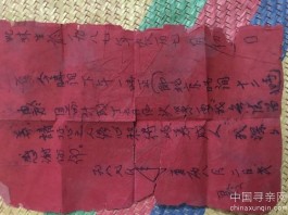 失踪人员：帮老婆找生父母